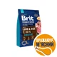 Корм сухий Brit Premium Dog Sensitive Lamb для собак усіх порід з чутливим травленням з ягнятиною 3 кг - зображення 6