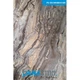 Стеновая панель Panastone 1220х2800 мм OROBICO GREY PS-212 - изображение 3