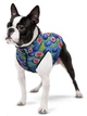 Куртка для собак Collar WAUDOG Clothes малюнок "Інжир" S35, В 47-50 см, С 30-33 см (4823089372341) (405-4053collar) - изображение 3