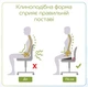 Подушка ортопедическая для сидения Correct Shape Max Comfort 46х42см от гемороя, простаты, подагры Изумрудная (73375) - изображение 3