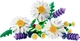Конструктор LEGO Botanicals Ромашки 133 детали (11508) - изображение 2