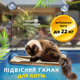 Лежанка для кота на окно подвесная гамак для кошки на присосках (ОL-152925) - изображение 1