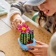Конструктор LEGO Botanicals Цветение кактуса 482 детали (11509) - изображение 4