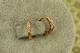 Серьги Xuping Jewelry колечки граненые 11 мм золотистые - изображение 2