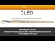 Щетина плоска Raphael Oleo, №2, коротка ручка - зображення 2