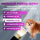 Машинка для стрижки тварин набір для грумінгу професійний тример для стрижки собак котів бездротова машинка для грумінгу Gold Kayfovo C5 - зображення 3