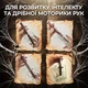 Головоломка для детей головоломка в бутылке головоломки для мозга пазлы для взрослых и детей Kayfovo b5l - изображение 2