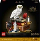 Конструктор LEGO Harry Potter Философский камень. Коллекционный набор 1571 деталь (76466) - изображение 1