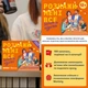 Настільна гра Orner Розкажи мені все. Батьки та підлітки - изображение 2