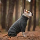 Одежда Noble Pet Hunter Grey - комбинезон для собак L (T4145/L) - изображение 6