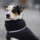 Одяг Noble Pet Bobby Black - пуховик для собак 7XL (B4141/7XL) - зображення 8