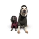 Одежда Noble Pet Travis Grayish Red - комбинезон для собак 4XL (T4124/4XL) - изображение 16