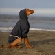 Одяг Noble Pet Moss Blue - дощовик для собак 2XL (M4106/2XL) - зображення 5