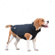 Одежда Noble Pet Softshell Ostin Navy Жилет для собак L (O4143/L) - изображение 1