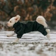 Одежда Noble Pet Travis Khaki - комбинезон для собак 2XL (T4123/2XL) - изображение 7