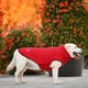 Одежда Noble Pet Softshell Ostin Red Жилет для собак 4XL (O4149/4XL) - изображение 2