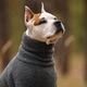 Одежда Noble Pet Hunter Grey - комбинезон для собак M (T4145/M) - изображение 7
