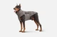 Одежда Noble Pet Bobby Gray – пуховик для собак 7XL (B4118/7XL) - изображение 1