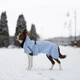 Одяг Noble Pet Rio Light Blue - дощовик для собак L (R4137/L) - зображення 3