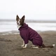 Одежда Noble Pet Travis Grayish Red - комбинезон для собак 4XL (T4124/4XL) - изображение 8