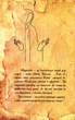 Книга духовної мудрості/Дочинець Мирослав/978-966-8268-32-5 - изображение 4