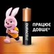 Батарейка DURACELL ААА MN2400 1x10 шт. - зображення 2