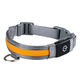 Світлодіодний нашийник для собак (LED Light-Up Dog Collar, USB-C зарядка, розмір S, 36-40 см) - зображення 1