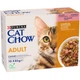 Вологий корм для дорослих кішок Purina Cat Chow Adult шматочки в желе з лососем та зеленою квасолею, мультипак (10 шт по 85 г) - зображення 1