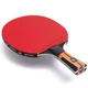 Ракетка для настольного тенниса Butterfly Timo Boll Comfort FL (6110170005) (931845) - изображение 4