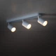 Спот TK Lighting 10238 LIVIA - зображення 3