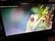 Комплект ПК Б-класс: Acer Veriton X2632G SFF / Intel Core i3-4150 (2 (4) ядра по 3.5 GHz) / 8 GB DDR3 / 320 GB HDD / Intel HD Graphics 4400 / DVD-RW + Монитор Philips 223V5L / 22" (1920x1080) TN / 1x VGA / VESA 100x100 б/у - изображение 12
