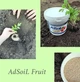 Ґрунтополіпшувач для плодово-ягідних AdSoil Fruit 2.2 л - зображення 4