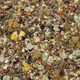 Корм для карликовых хомяков, мышей и песчанок Deli Nature Rodelicious Дели Натюр суперпремиум полнорационный 750 г - изображение 2