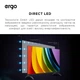 Телевизор Ergo 40" 40JFS6800 - изображение 12