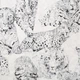 Вінілові шпалери на флізеліновій основі Decoprint Blooming BL22720 Сірий Пантера (53 см) - зображення 1
