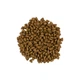 Корм сухий Savory Adult Cat Sensitive Digestion Fresh Lamb and Turkey для дорослих котів з чутливим травленням з ягнятиною та індичкою 2кг - изображение 2