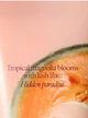 Парфюмированый набор для тела Victoria's Secret Misted Magnolia Melon - изображение 2