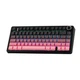 Ігрова механічна клавіатура AULA F75 Pink-black Gradient - изображение 5