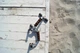 Упори для віджимань Power System PS-4005 Push Up Stand (Прямі) - изображение 6