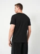 Футболка хлопковая мужская Guess M5RI50-K9RM1-JBLK L Jet Black A996 (7626741412303) - изображение 2