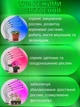 Фітолампа для рослин кімнатних квітів орхідеї розсади лед підсвічування фіто лампа гнучка світлодіодна лед фітосвітильник з пультом регулювання яскравості кольору фітолампи для росту і вирощування - зображення 4