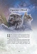 Коти - вояки. Герої Кланів. Хроніки Зореклану - Е. Гантер (9786178387907) - изображение 4
