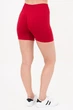 Женские бесшовные шорты Giulia SHORTS RIB SHAPE L/XL рубчик, моделирующий шов, тренировки, активный стиль, эластичные, бордовые Bordo-winery - изображение 3