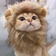 Шапка Грива льва для котов Размер S Podarkus DK038-S - изображение 1