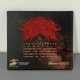 Аудіо CD Labyrinthus Stellarum - Vortex Of The Worlds (Digibook) - изображение 2