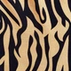 Трусы боксеры из хлопка с шелком в анималистический принт Iconic Zebra – XS – бежевый, черный - изображение 3