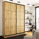 Шкаф купе двухдверный LOFT (120.1х45х240) Дуб аппалачи - изображение 1