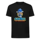 Футболка дитяча чорна з принтом Sonic Сонік DM-18455 152 см - зображення 1