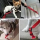 Ремінь безпеки для собак в авто DogCarBelt, червоний - зображення 5