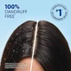 Американський шампунь-кондиціонер проти лупи з піритіоном цинку Head&shoulders 2 in1 для сухого типу шкіри з мигдалевою та кокосовою олією 1.15 L - зображення 10